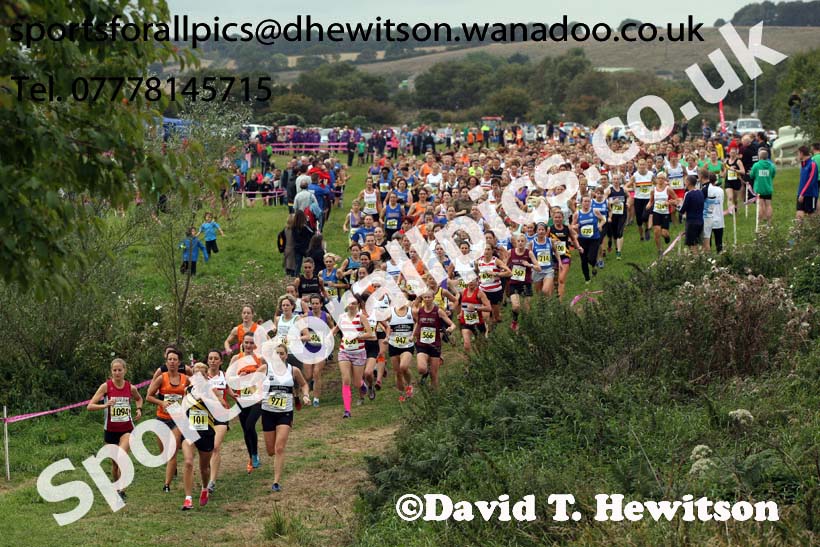 Senior womens Start Fitness North Eastern Harrier League, Tanfield, County Durham. Photo: David T. Hewitson/Sports for All Pics